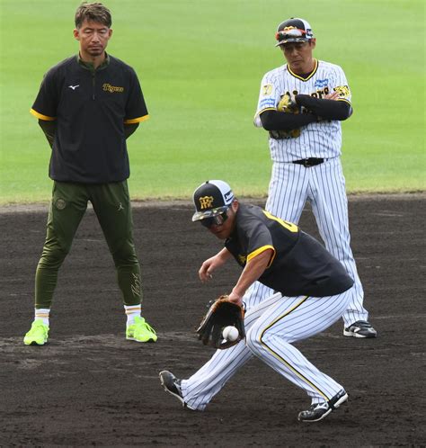 【阪神】鳥谷敬臨時コーチがいきなり特守チェック！朝から小野寺暖の三塁守備見守る プロ野球写真ニュース 日刊スポーツ