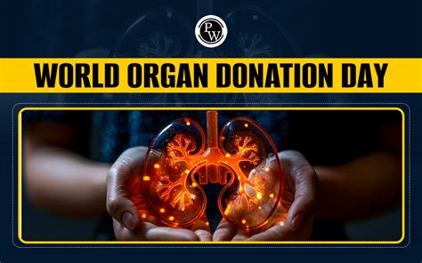 World Organ Donation Day 2024 History Significance And More