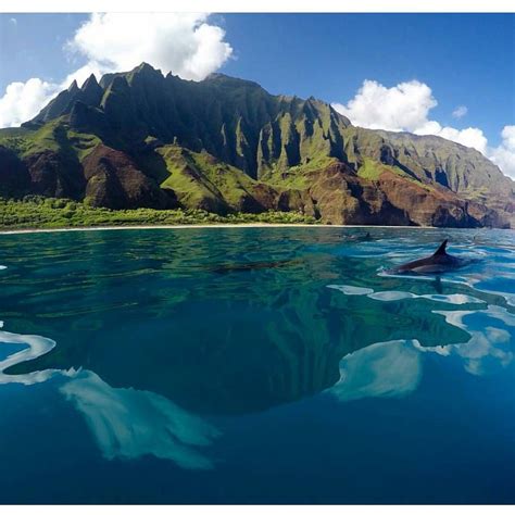 Instagram Post By Hawaii Aug 19 2016 At 7 04pm UTC