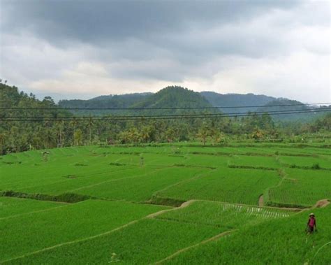 Bali Beratan Temple Jatiluwih Handara Heaven Gate Tour GetYourGuide