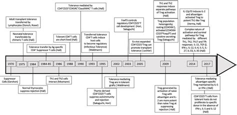 Frontiers Transplant Tolerance Not Only Clonal Deletion