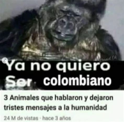 Top Memes De Racista En Espa Ol Memedroid