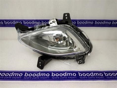 Lamp Assy Front Fog Rh Hyundai Kia X Compatibility