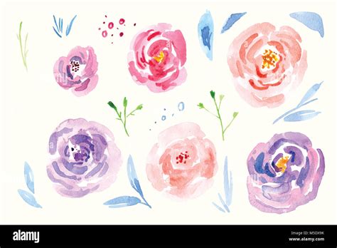 Fr Hling Blumen Aquarell Clip Art Hand Gemalte Blumenstr U E