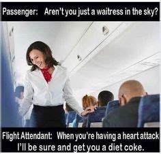 44 Flight Attendant Memes ideas | flight attendant, flight attendant ...