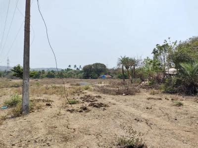 43 Sqft Agricultural Land For Sale In Dahanu Palghar Property ID