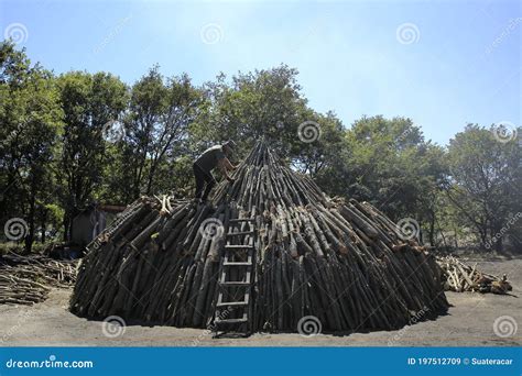 Preparation For Making Charcoal From Wood Editorial Stock Image