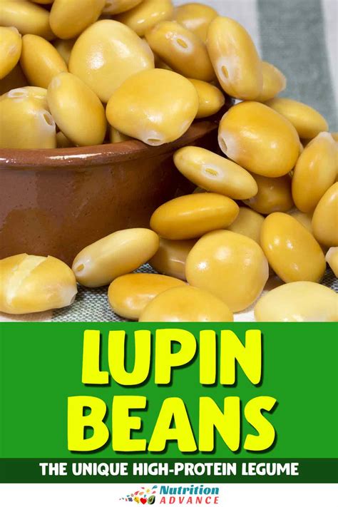 Where To Buy Lupini Beans Dried Lupini Beans - buckknives.blog