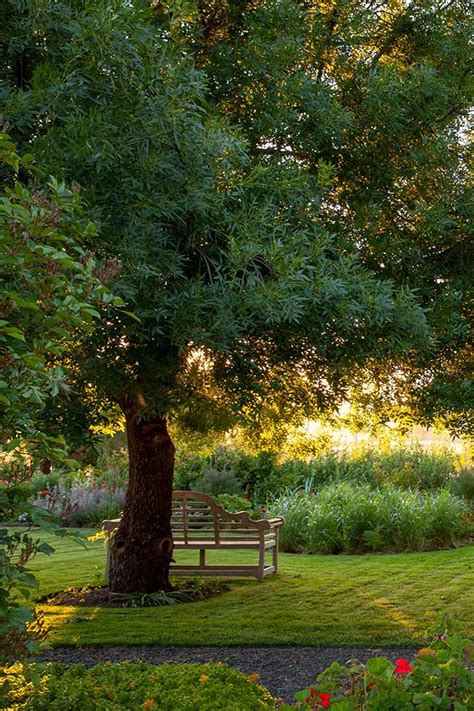 Hardy Plants That Can Survive Drought And Frost In Australia Australian Native Garden