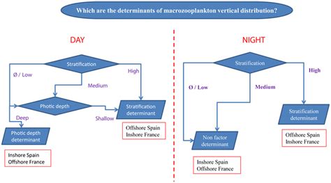 Flow chart showing the nested and interacting nature of the...