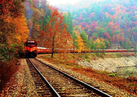 Great Smoky Mountains Railroad and Jeep Tour | Carolina Bound Adventures