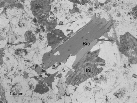 9 Photomicrograph Of Diorite Plane Polarized View Of Thin Section