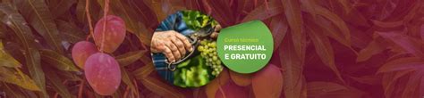 T Cnico Em Fruticultura Presencial E Gratuito