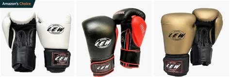 Top 7 Best Boxing Gloves Brands In India January 2025