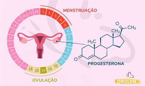 Progesterona fertilidade e ciclo menstrual Clínica Origen