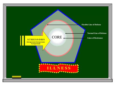 Betty Neumans System Model Ppt Free Download