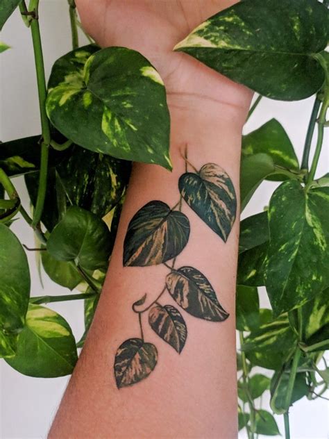 Epipremnum Tattoo Plant Tattoo Tattoos Body Tattoos