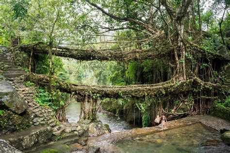 The Coolest Thing About These Bridges In India Is That They Are