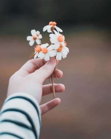 A Person Holding Small White And Orange Flowers In Their Left Hand