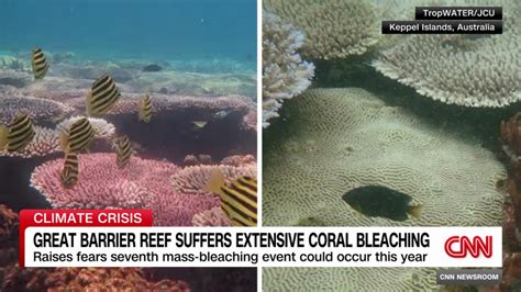 Australias Great Barrier Reef Suffers ‘extensive Coral Bleaching Cnn