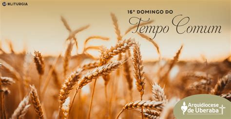 16º Domingo do Tempo Comum Arquidiocese de Uberaba