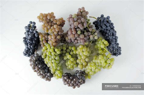 Green and black grapes — lifestyle, tasty - Stock Photo | #149600336