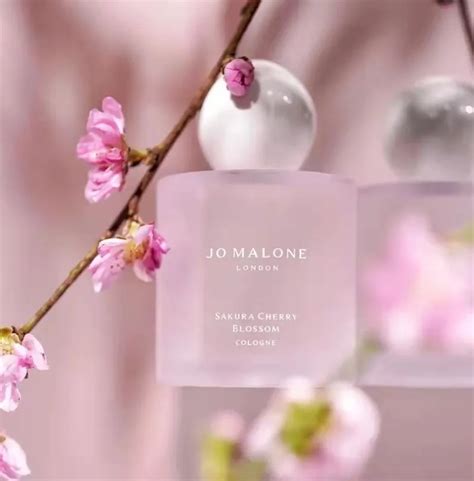 Perfume Sakura Cherry Blossom Cologne 100ml Flower Floral Women