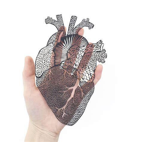 Anatomical Heart Papercutting Artwork | Light + Paper