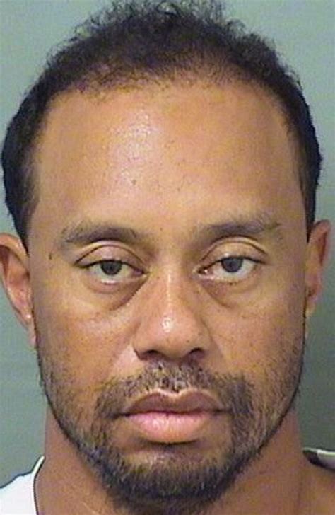 Tiger Woods Arrest Golfer Was Asleep At The Wheel On Dui Charge