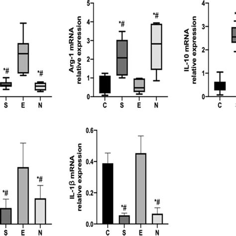 Relative Expression Of Mrna Of Inos Arg—1 Tnf α Il 1β Il—10 In