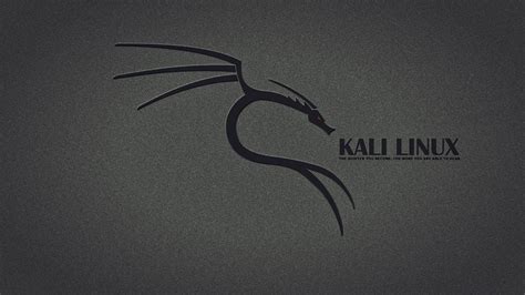 Kali Linux Wallpaper