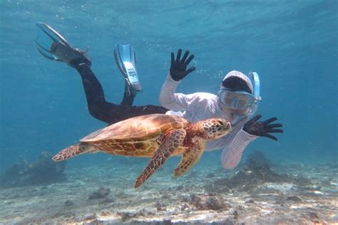 Miyakojima Snorkel Private Tour From 2 People Lets Look For Sea