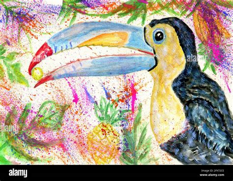 Dessin Animé Doiseau De Toucan Avec Des Plantes Tropicales Dessiné à