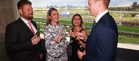 story  bloodstock pty