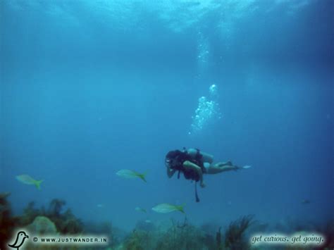 Discover Scuba at Coki Beach (St. Thomas, US Virgin Islands) – | JustWander.in