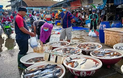 Ketersediaan Ikan Selama Ramadan