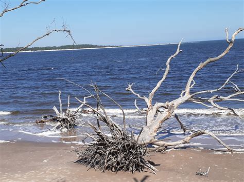 Scenes at the Famous Boneyard Beach – Camping Wanderlust