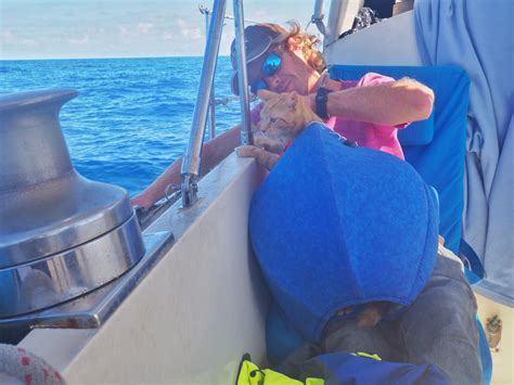 Sailing Life Day 1 Crossing The Gulf Stream From Florida Keys To