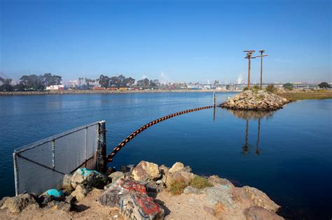 Nature in Focus: Los Angeles River | Nature and Wildlife | Discovery