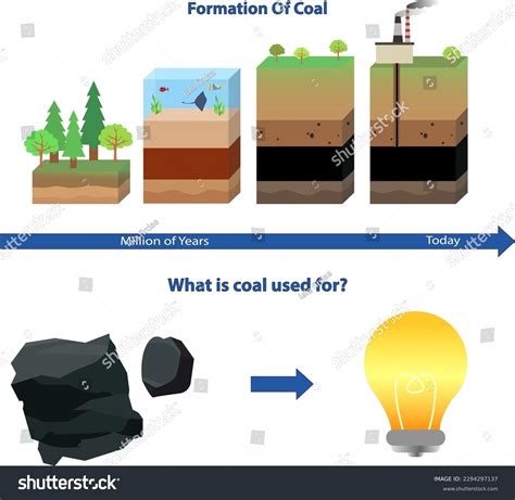 Coal Formation