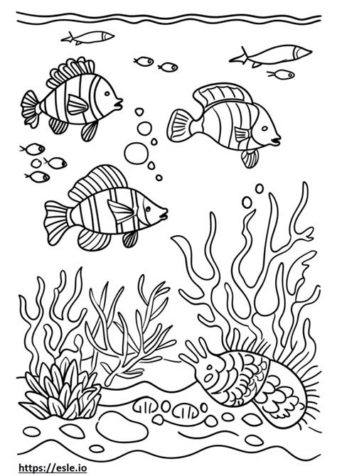 Ocean scene coloring page