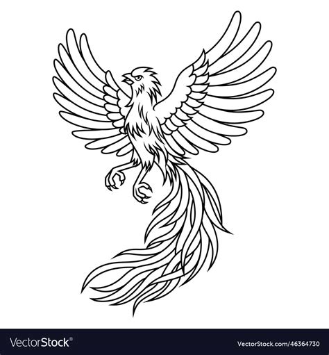 Hand Drawn Of Phoenix Line Art Royalty Free Vector Image