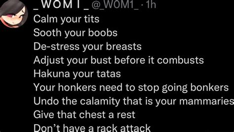 WOM Calm Your Tits Sooth Your Boobs De Stress Your Breasts Adjust Your Bust Before It Combusts