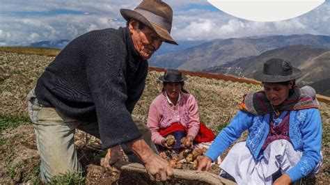 Feliz D A Del Campesino Noticias Municipalidad Distrital De Nepe A