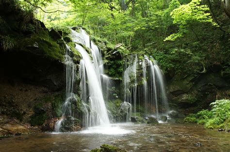 お手軽秘境探検隊 ～ニッポンの絶景スポットレビュー～ 絵になる滝 ～猿壷の滝～