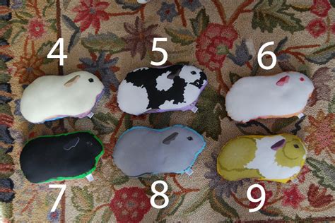 Choose Your Guinea Pig Plushie Guinea Pig Pillow Plush Etsy