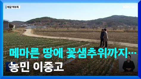 메마른 땅에 꽃샘추위까지농민 이중고 Kbs 20230313 Youtube