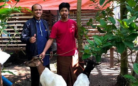 Omzet Pedagang Hewan Kurban Lhokseumawe Meningkat Jelang Idul Adha