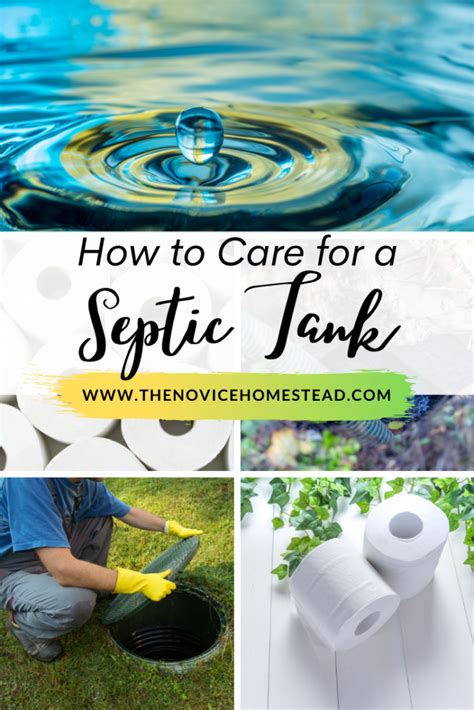 How To Care For A Septic Tank Artofit