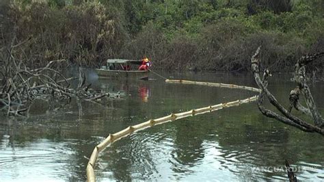 Supervisarán Daños Ecológicos Generados Por Pemex